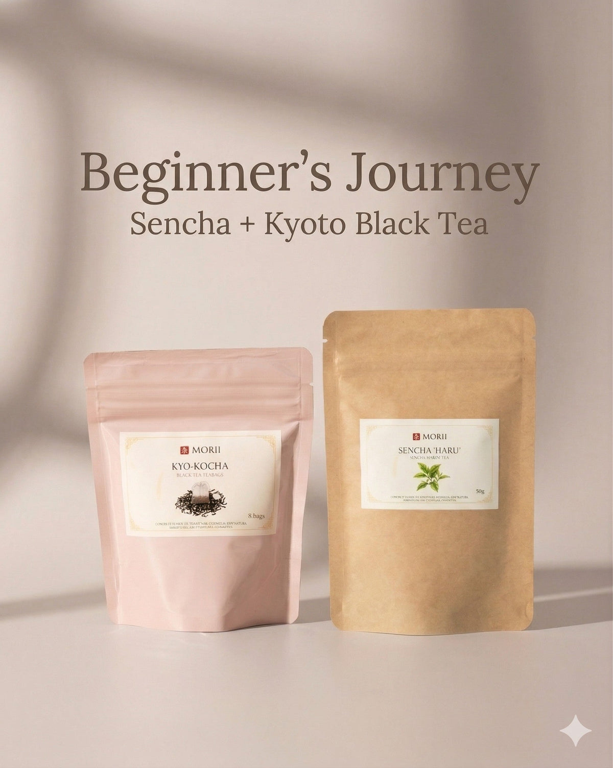 Beginner's Journey — Morii sencha and Kyoto black tea